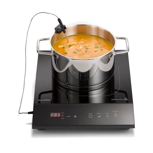 ThermoControl 2235 Induction hob