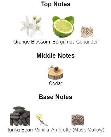 Timeless Sands Eau de Parfum 100ml