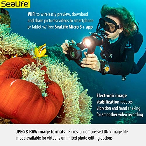 Micro 3.0 + Sea Dragon 3000