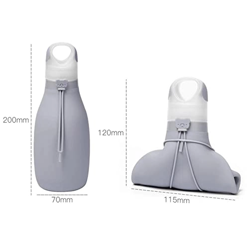 Sports Water Bottle - 500 ml
