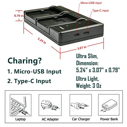NP-FZ100 - 2280mAh + LTD2 USB Charger