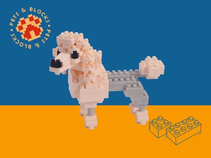 Poodle - 135pcs