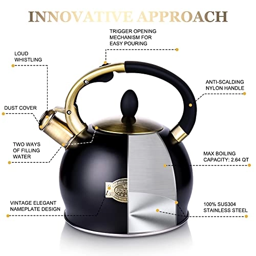 Stove Top Whistling Tea Kettle - 2.6 Liters