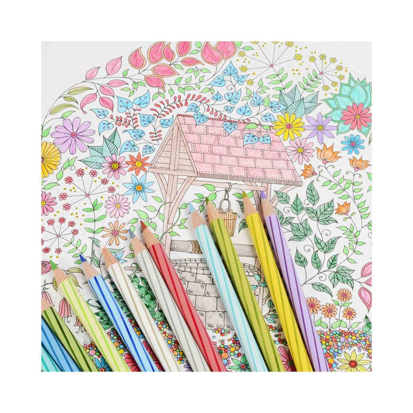 Luna Colour Pencil Cylinder - Pack of 12