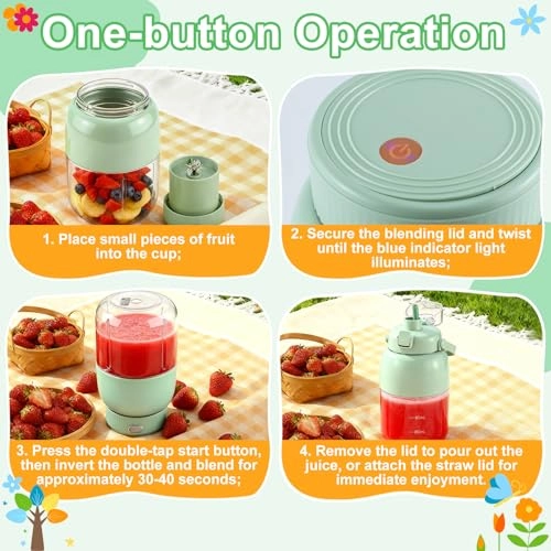 Portable Blender - 800 Milliliters