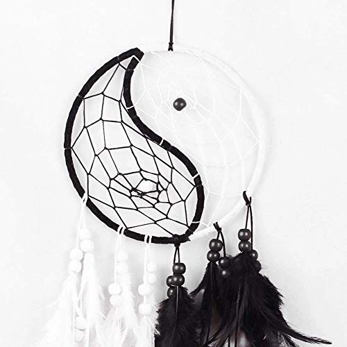 Dreamcatcher - Siderosphere, feathers, lines, wood beads.