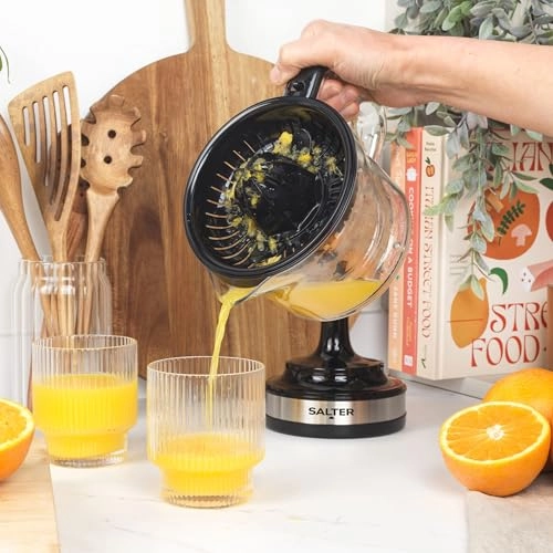 Electric Fruit Juicer - 30W 0.6L