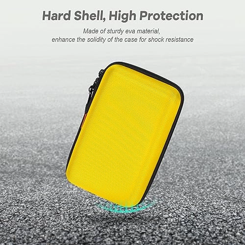 Electronic Organizer Carrying Case