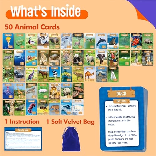 Outdoor Scavenger Hunt Card Game - 3 years and up 50 pieces