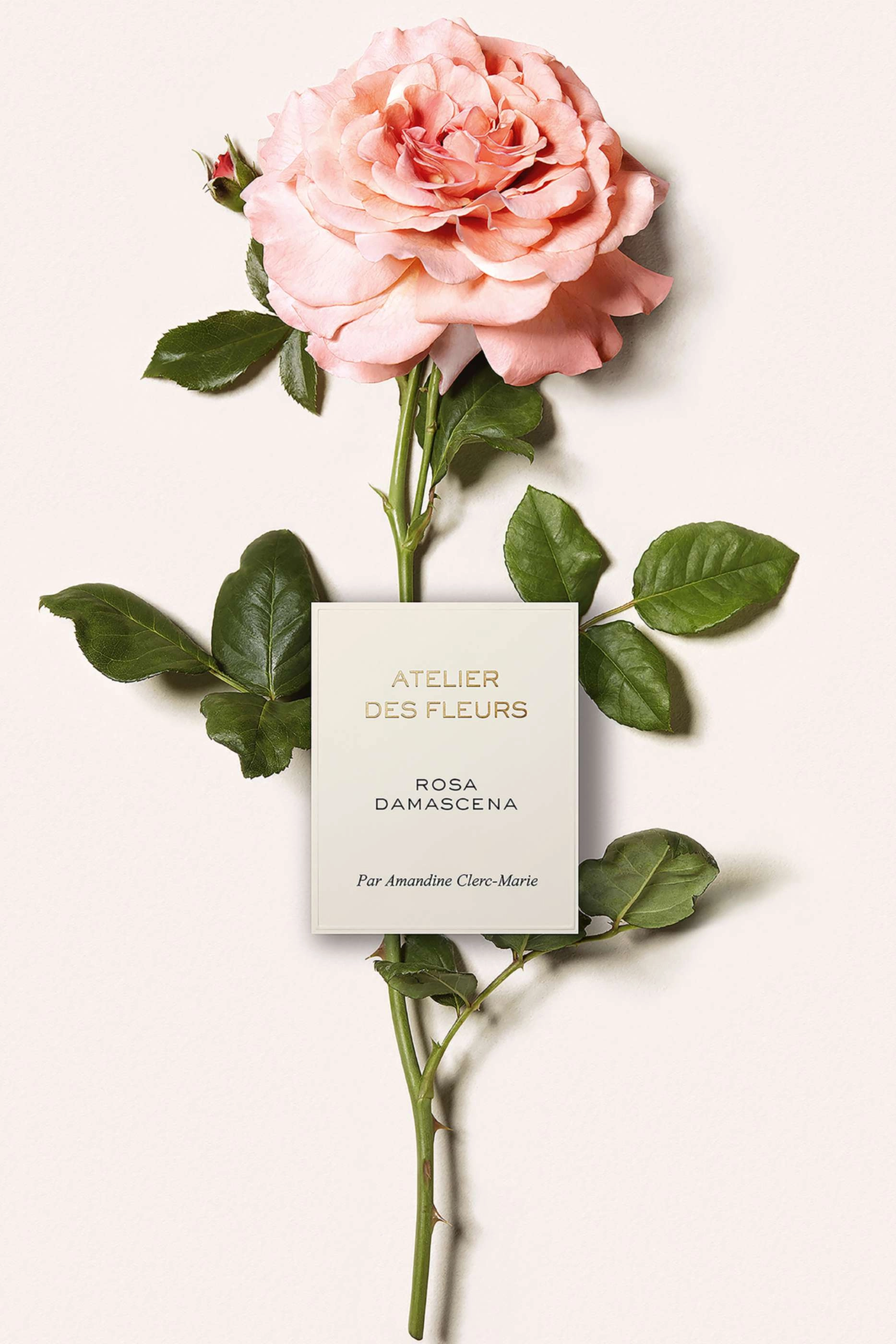 Atelier des Fleurs Rosa Damascena Eau de Parfum 150 ml