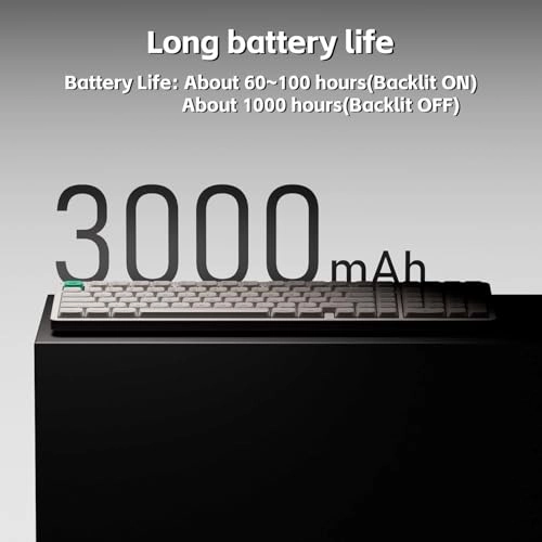 Node100 - Wired/Wireless