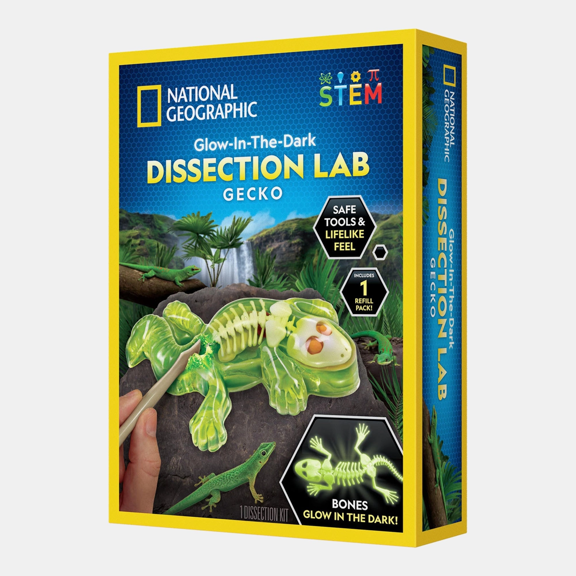 National Geographic Gecko Dissection Lab Biology - 6 years+ 17 pieces