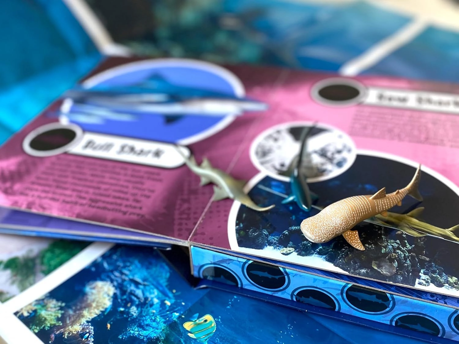 World of Sharks My Busy Board Book - 3 years+