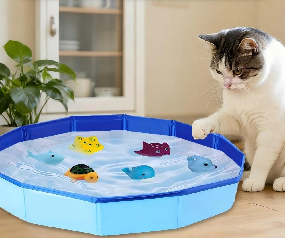 SKIKHN Cat Pool Toy