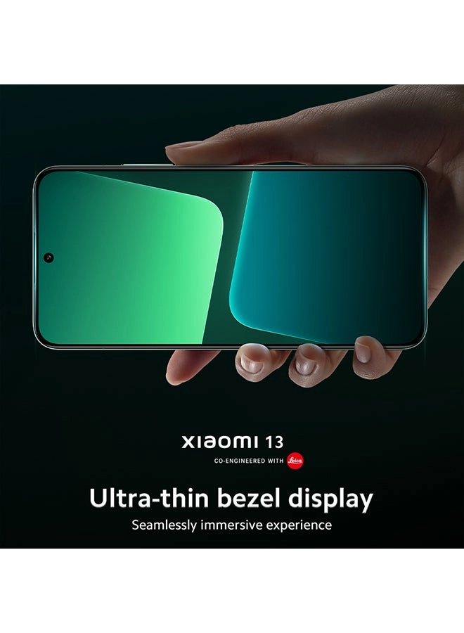 13 - 12GB 256GB