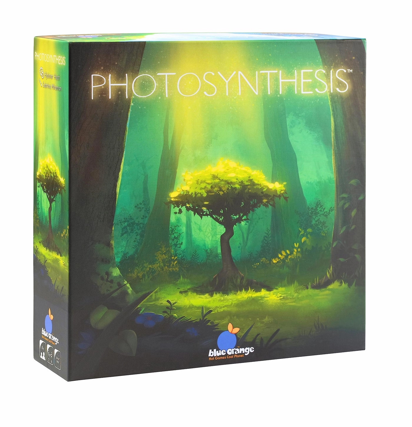 Photosynthesis: A Game of Light and Shadow (German)