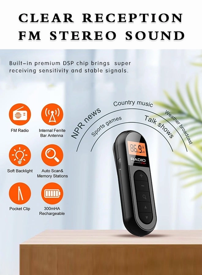 Portable Radio
