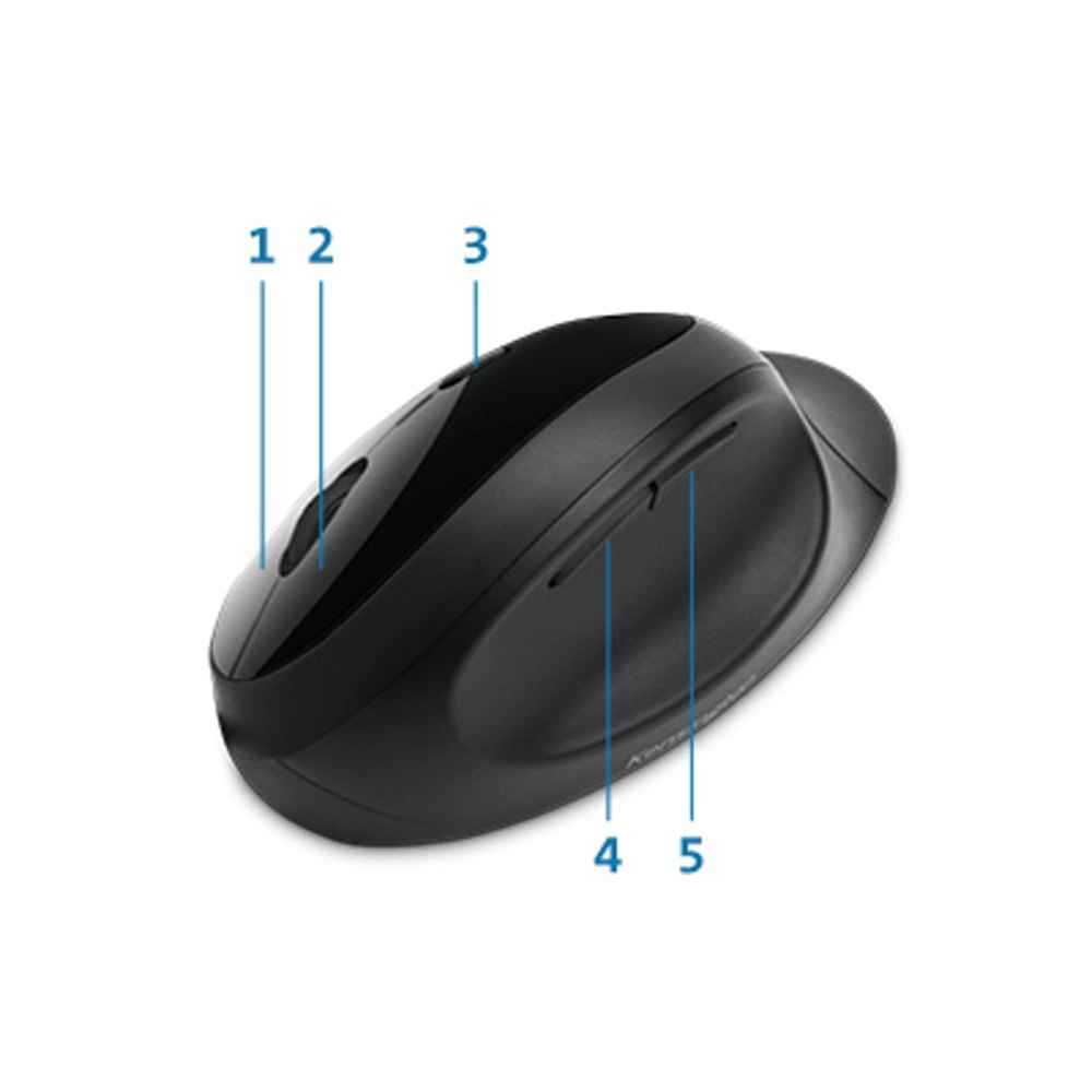 Pro Fit Ergo Vertical Mouse - Wireless