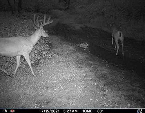 Long Range IR Camera L Series - 100 Feet + Battery Power Bank - New Model + 16GB SD Card + Hunters Warehouse Hat