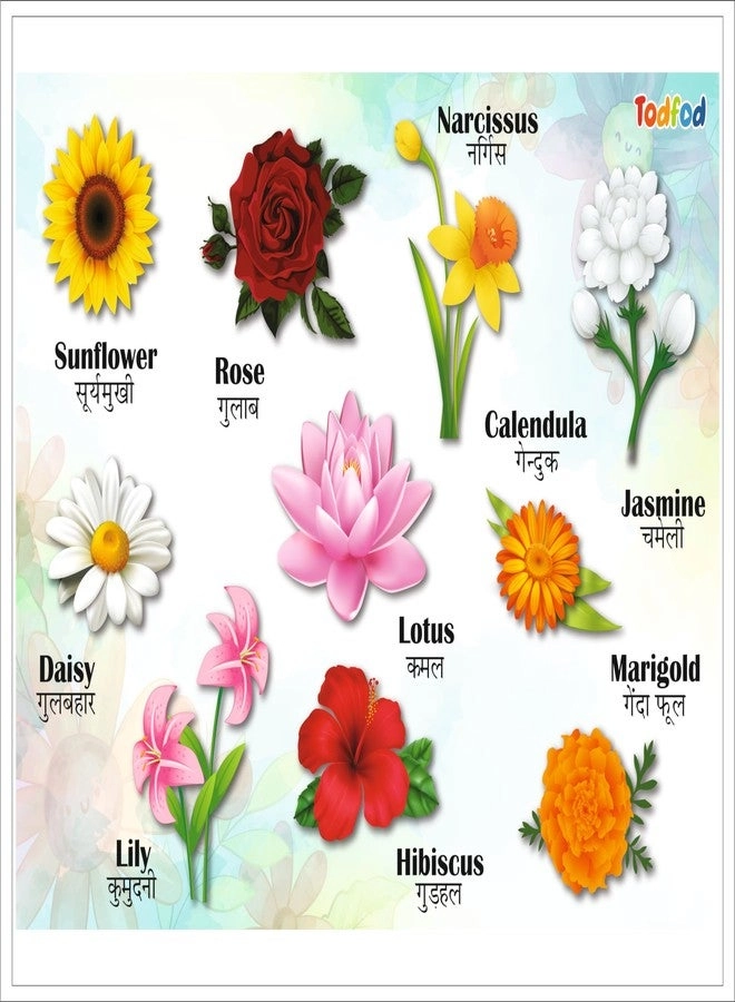 TodFod Wooden Flower Puzzle - 2-4 8 pieces