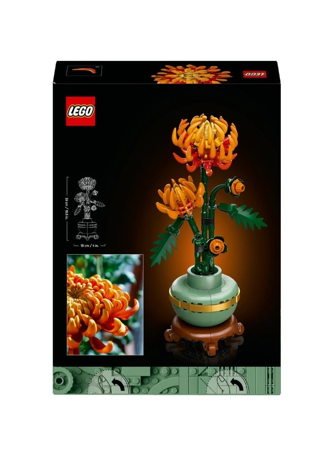 Icons Chrysanthemum (10368)