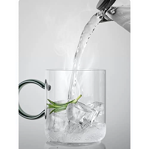 Teapot set - high borosilicate glass 500mL