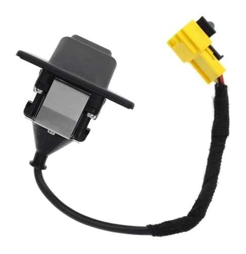 Reversing Camera - Night Vision 728 x 582 pixels