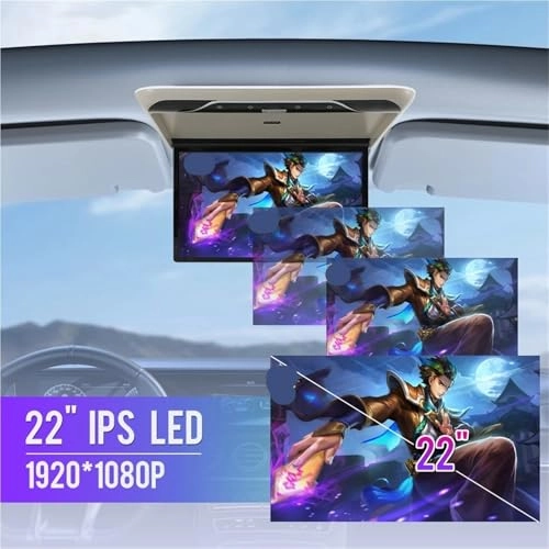 Car Roof Monitor - 22 Inch