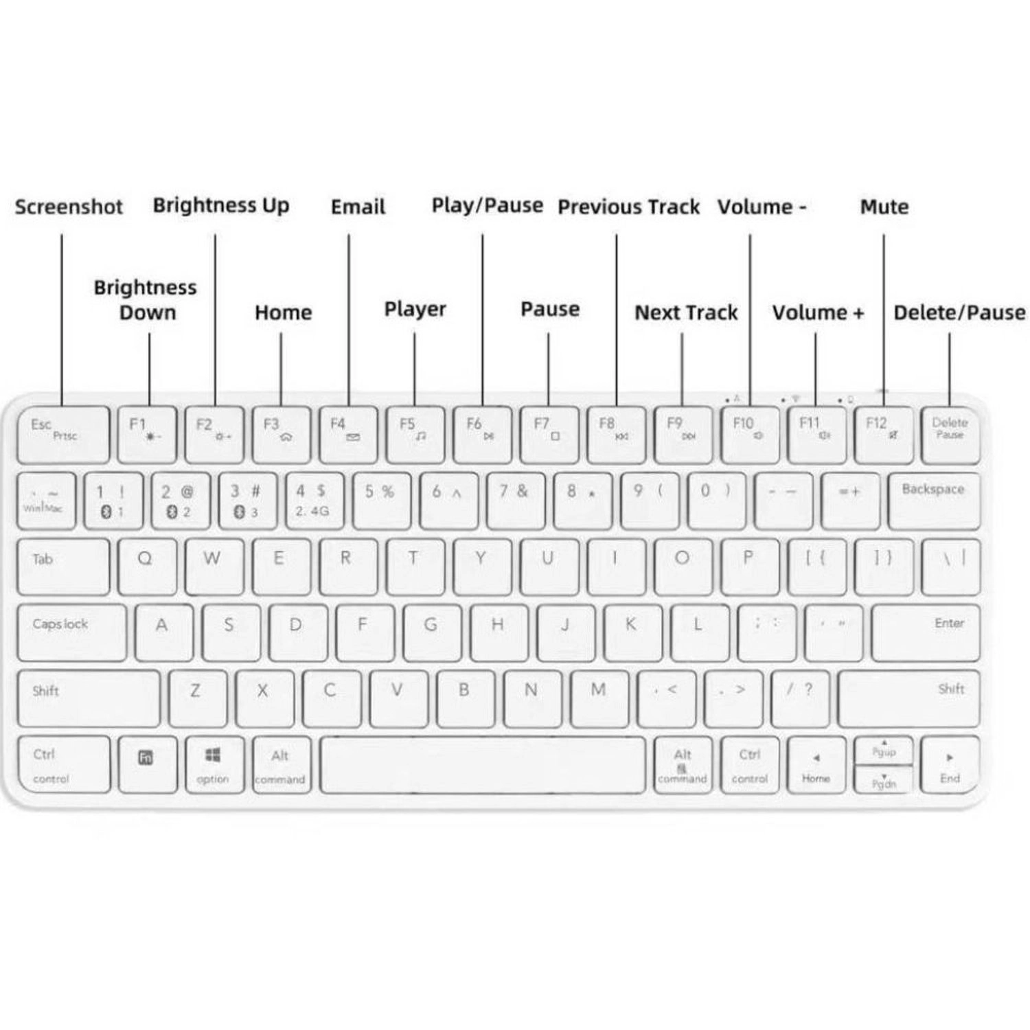 Wireless Keyboard - Wireless