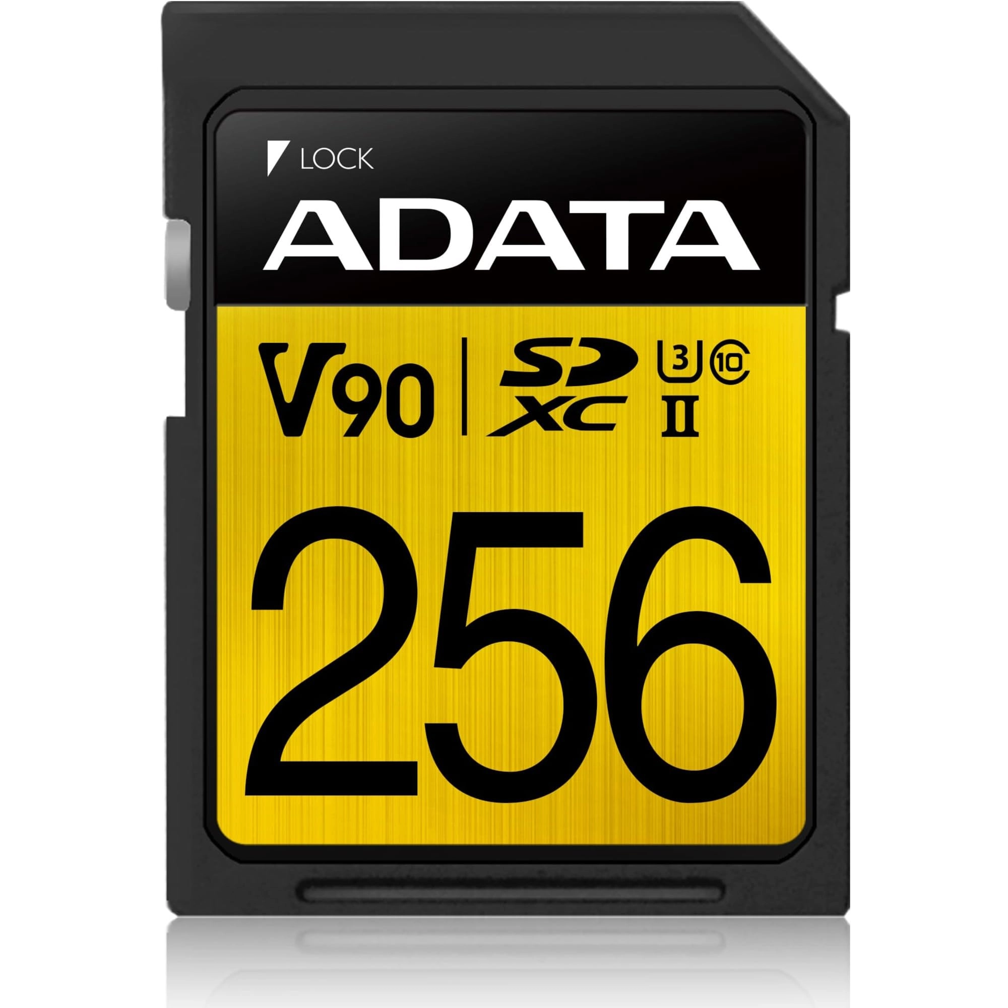ADATA ASDX256GUII3CL10-C - 256GB
