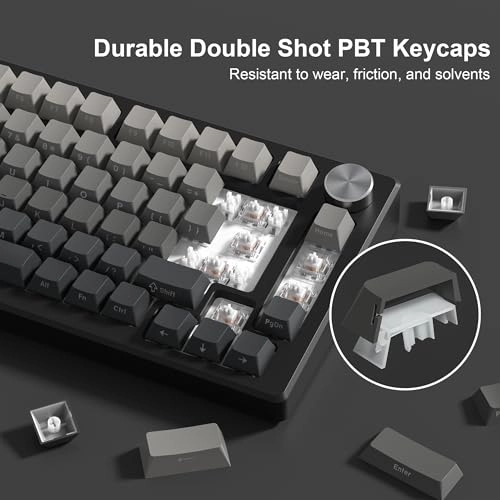 Womier PBT keycaps - 75 Percent Mechanical keyboard