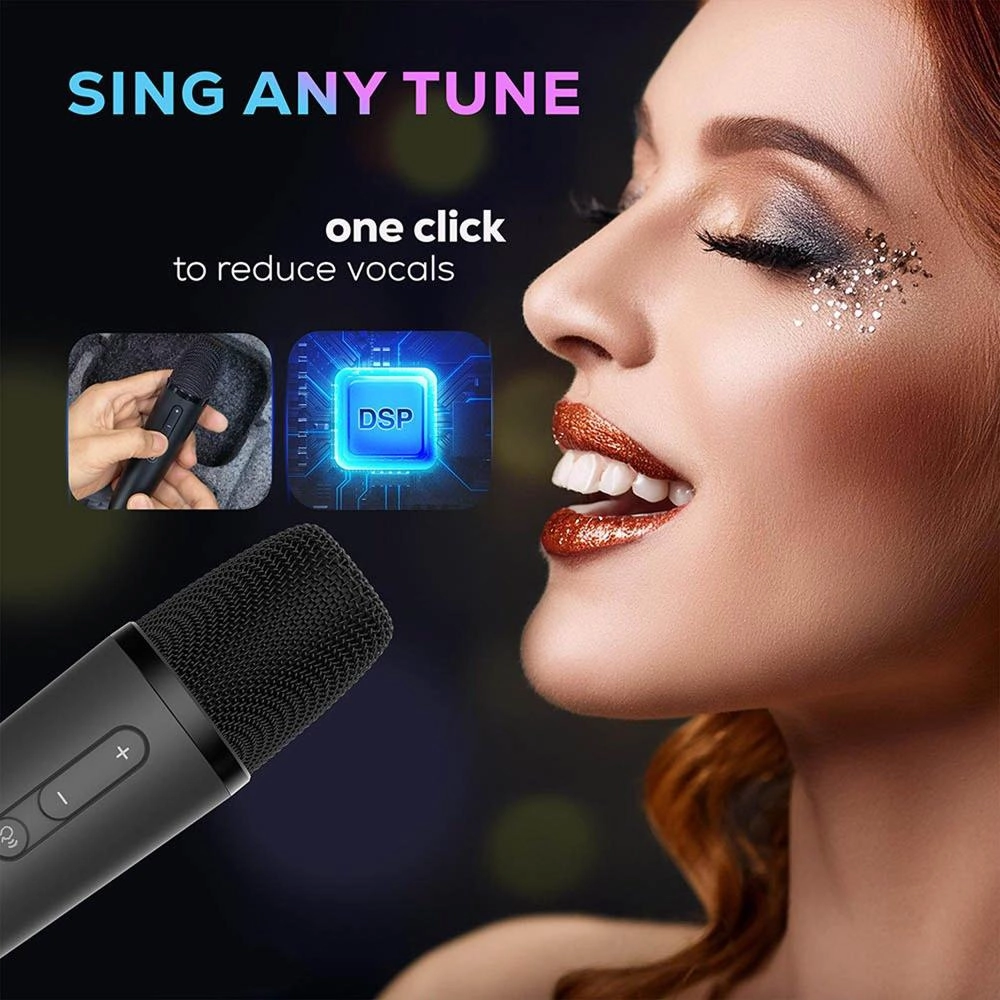 D’MAESTRO A-15 - 2 mics 1TB