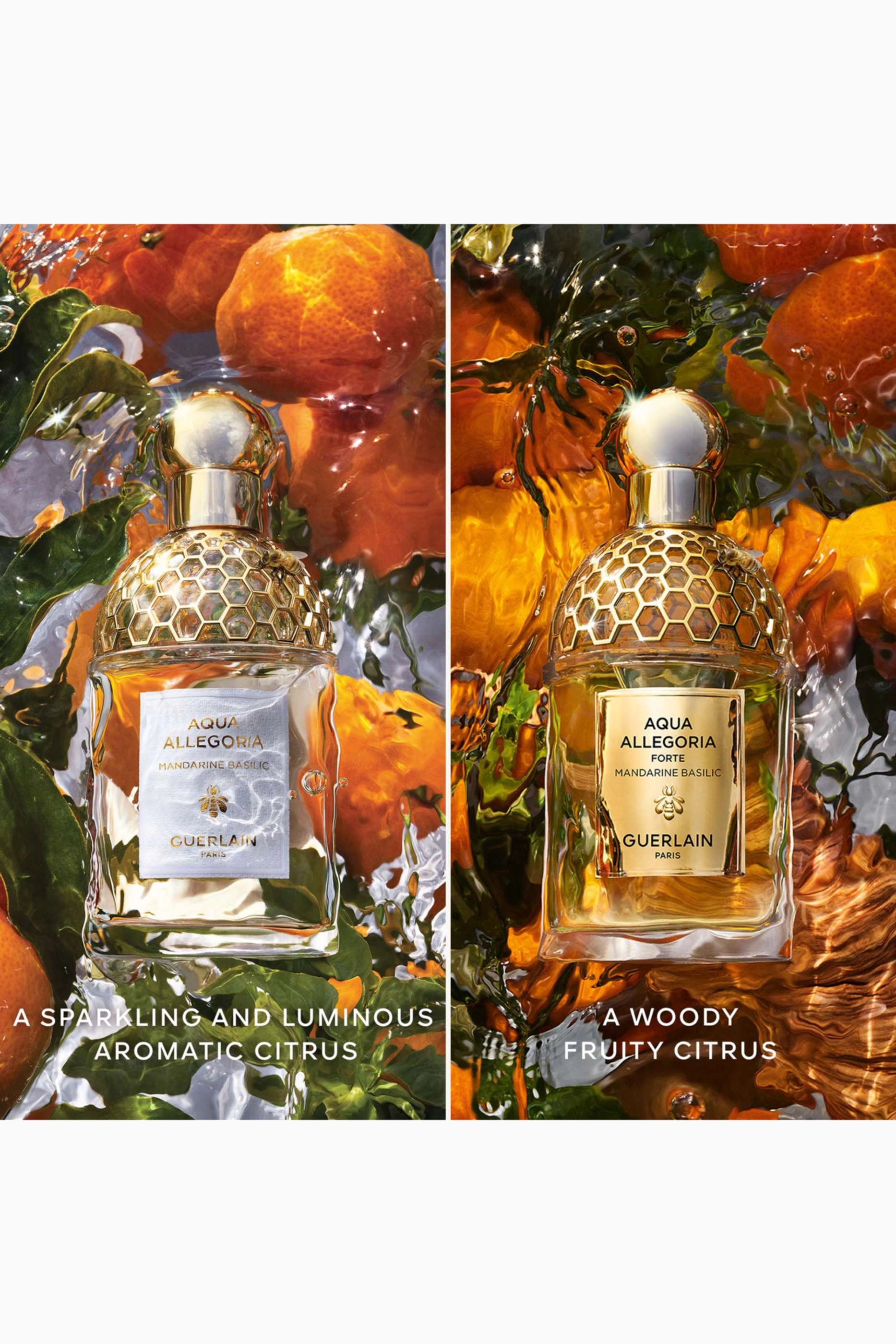 Mandarine Basilic Forte Eau de Parfum 75ml