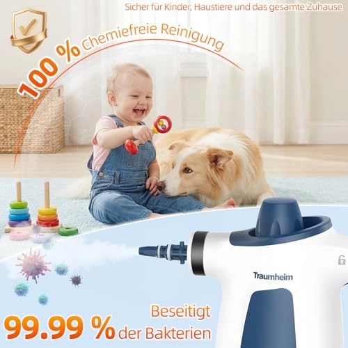 Handheld Steam Cleaner - 3 Bar 350 ml