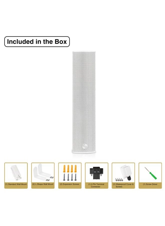 CARPO-M42W - 120W RMS