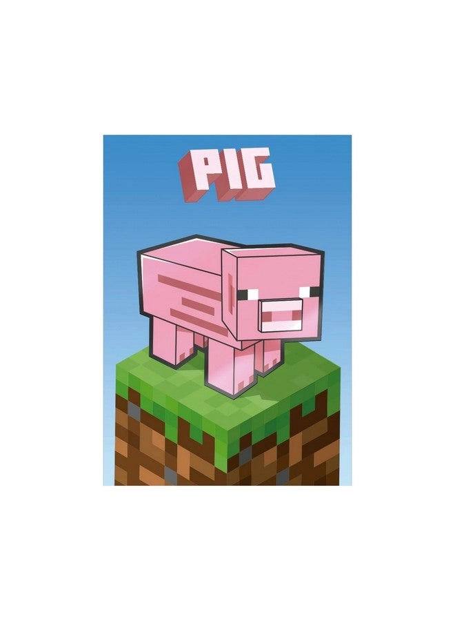 Minecraft 2 Trading Cards - Fat Pack