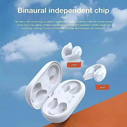 BT 5.3 Wireless Earbud