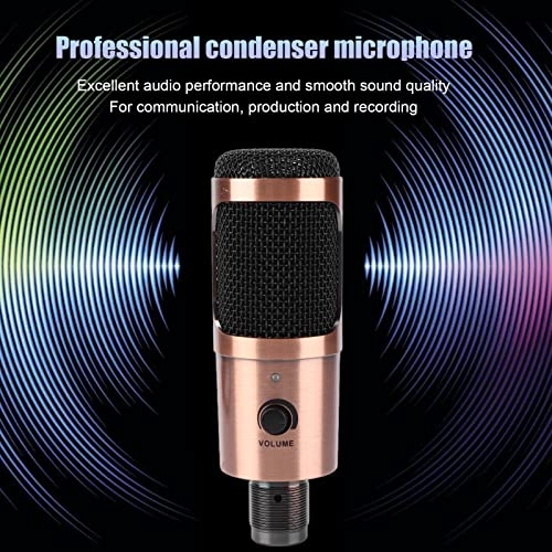 74747 USB Microphone