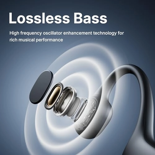 B21S Wireless Headset