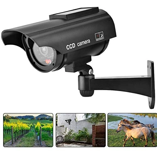 Dummy Camera - indoor and outdoor