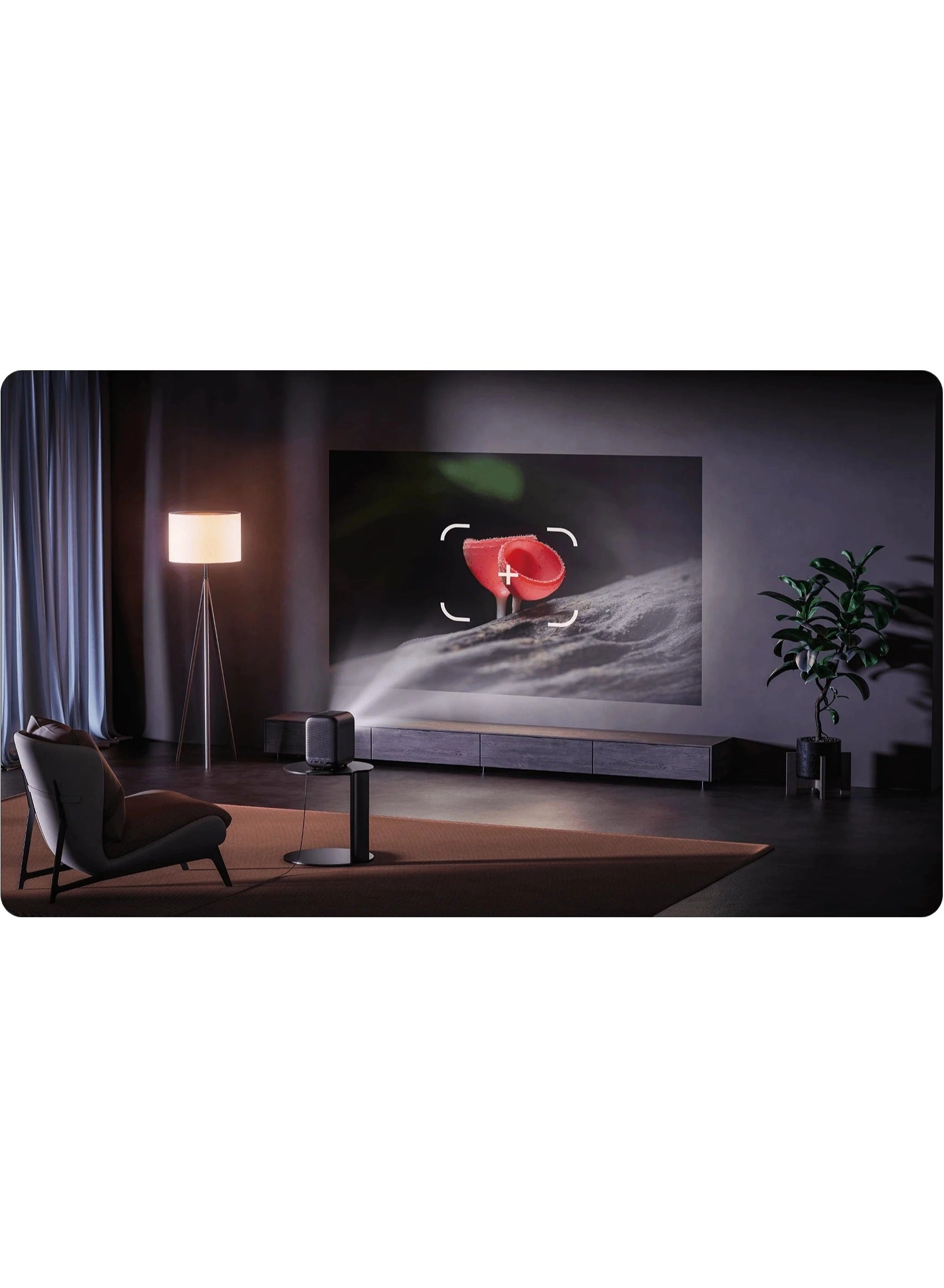 L1 XMTYY03FMG 200 ISO Lumens