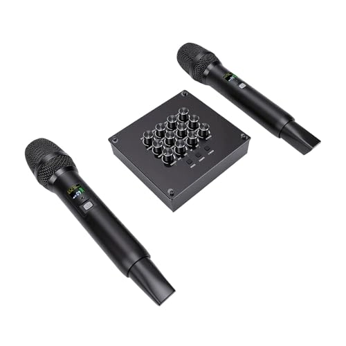 Luqeegaxv8ilny6g Wireless Microphone