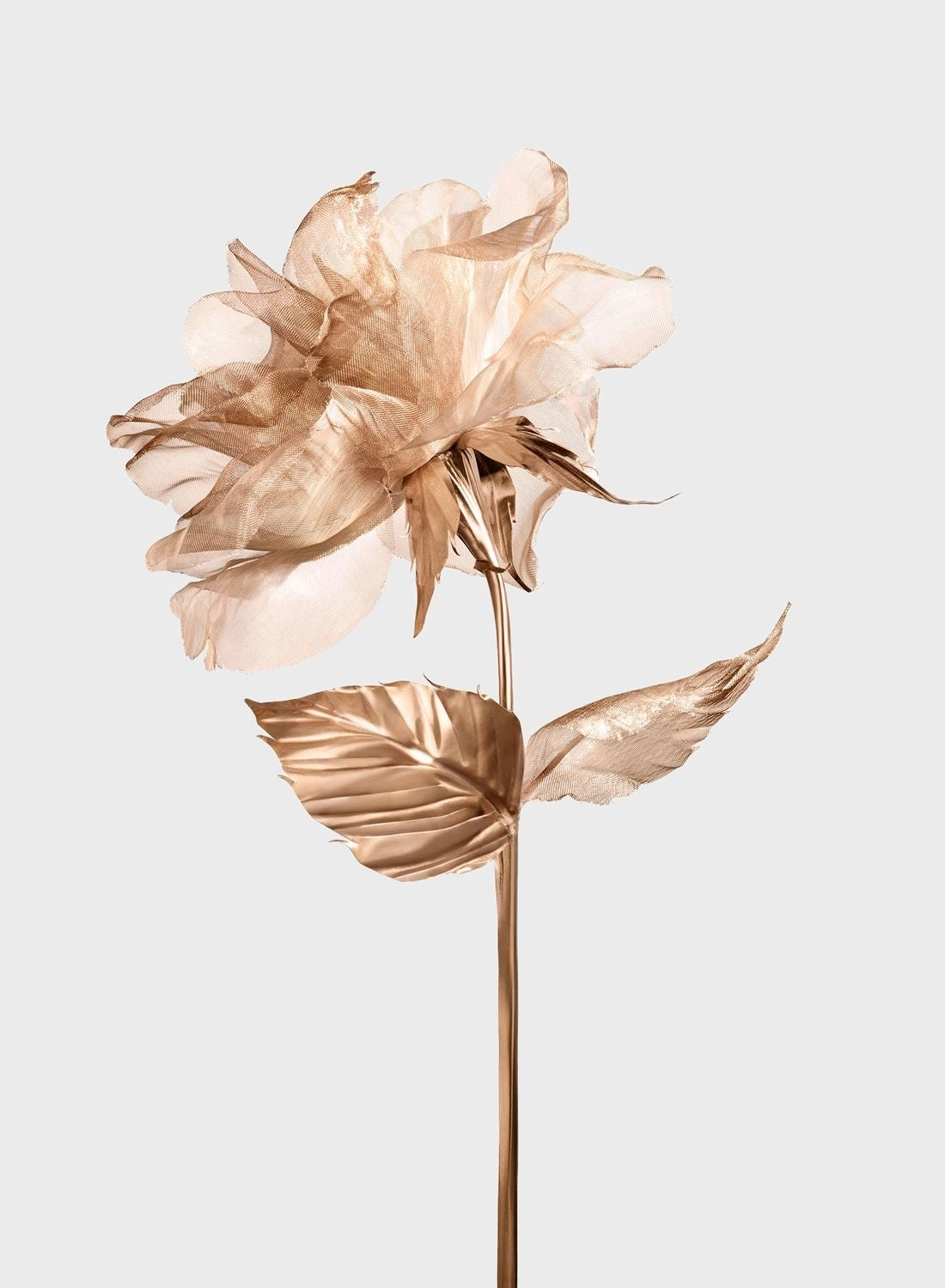 Rose Gold Eau de Parfum 50ml