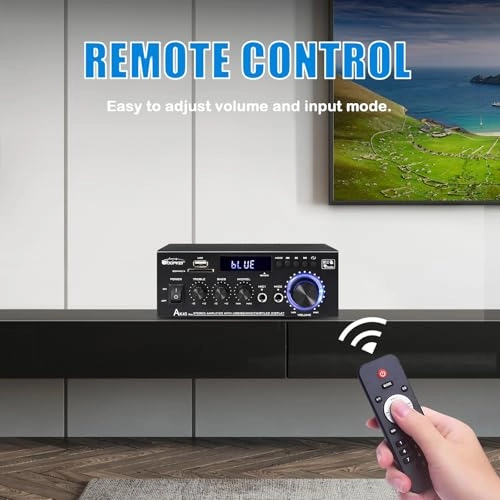 AK45 Pro - 2.0 Channel RMS 50WX2