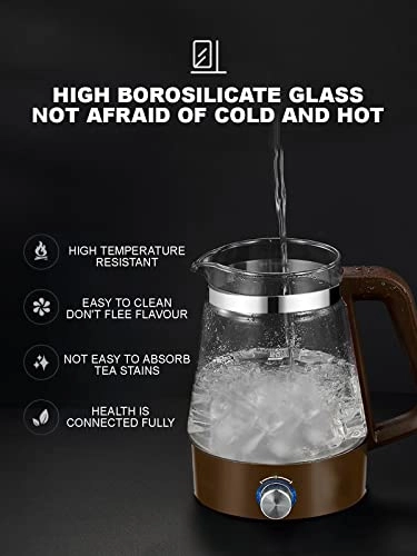 Glass Keep Warm Electric Kettle