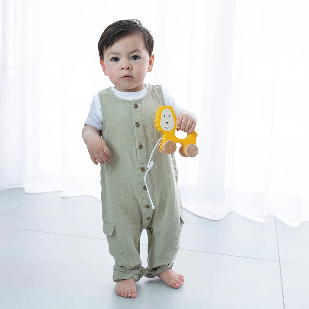 Playtime Pull Along - Ludo Lion