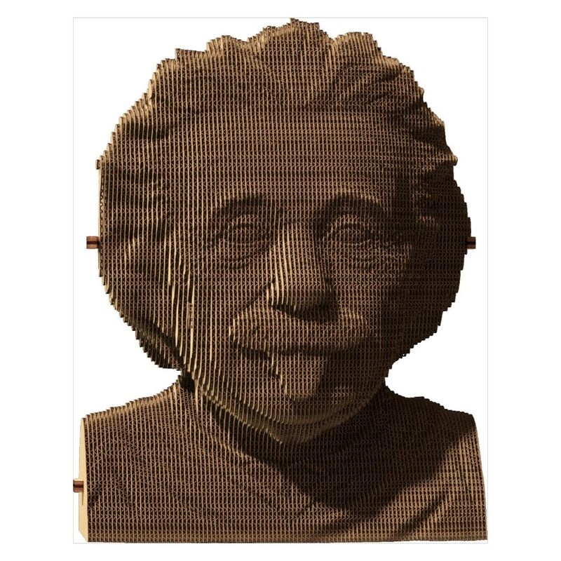 Albert Einstein 3D Puzzle (CARTMALB) - 172 pcs