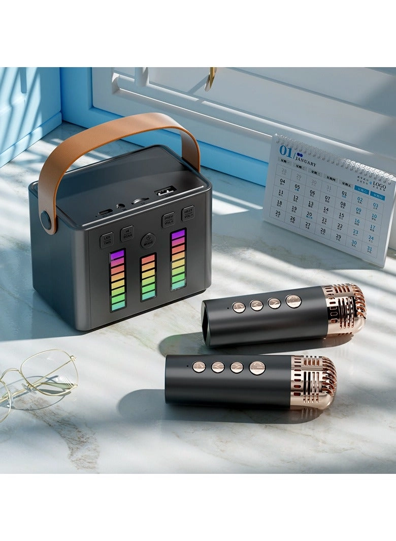 LED Bluetooth Karaoke Speaker - Dual Microphones