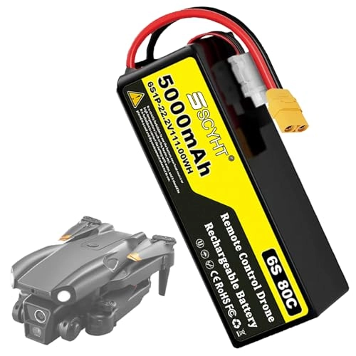 Lipo Battery 6S