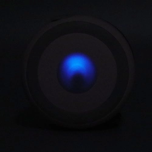 Mini Electric Garlic Chopper - 250ml 30W